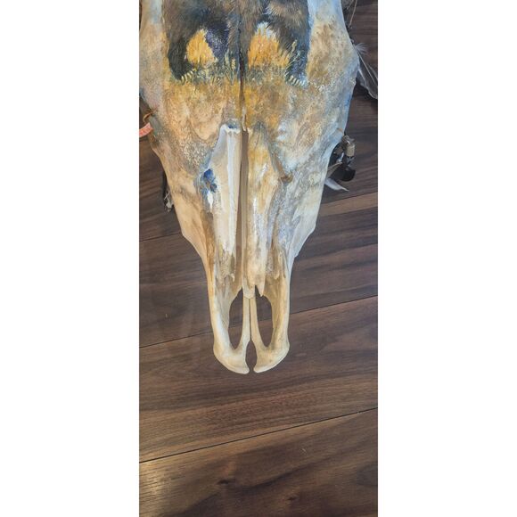 Cow Skull, Authentic Handpainted Bear on the front Wall Hanging, damaged - Picture 5 of 12